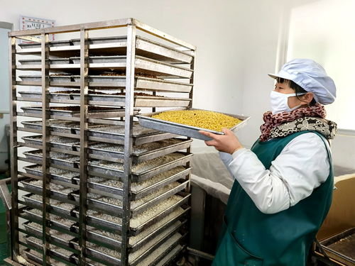 铁路扶贫让宁夏固原市原州区特色锅巴畅销有 路