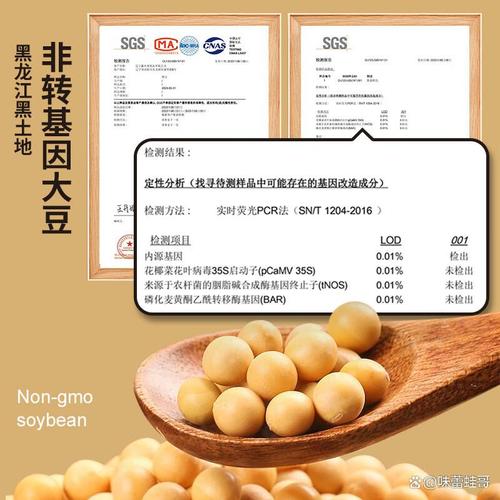 锅巴哪个牌子好?锅巴怎么选,找到最适合你的美味选择
