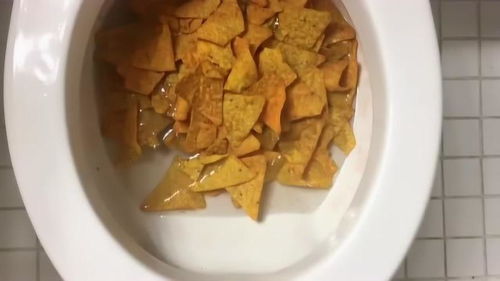 趣味测试 当棱角分明的锅巴遇上马桶，会发生什么？